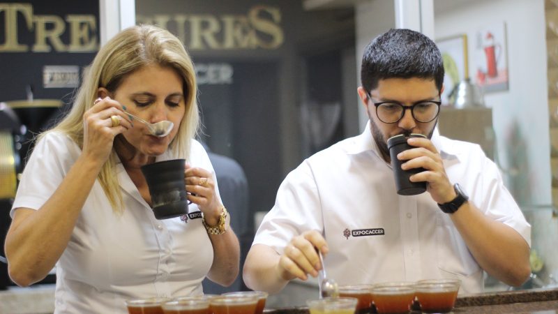 Expocaccer inicia recebimento de amostras para o mapeamento de cafés especiais