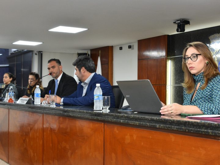 CÂMARA MUNICIPAL APRESENTA CRIAÇÃO DA “MEDALHA OLGA BARBOSA” PARA HOMENAGEAR OS PROFESSORES LOCAIS