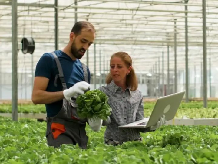 Bolsas de R$ 5 mil: Sebrae Minas vai selecionar agentes para o programa ALI Rural, em Patrocínio