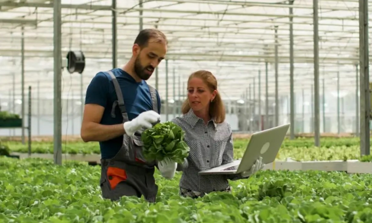 Bolsas de R$ 5 mil: Sebrae Minas vai selecionar agentes para o programa ALI Rural, em Patrocínio