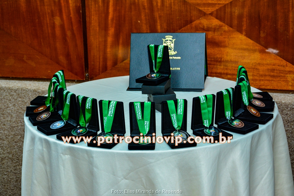 Câmara Municipal realizou a homenagem "Merito Legislativo" 2 VIP5825