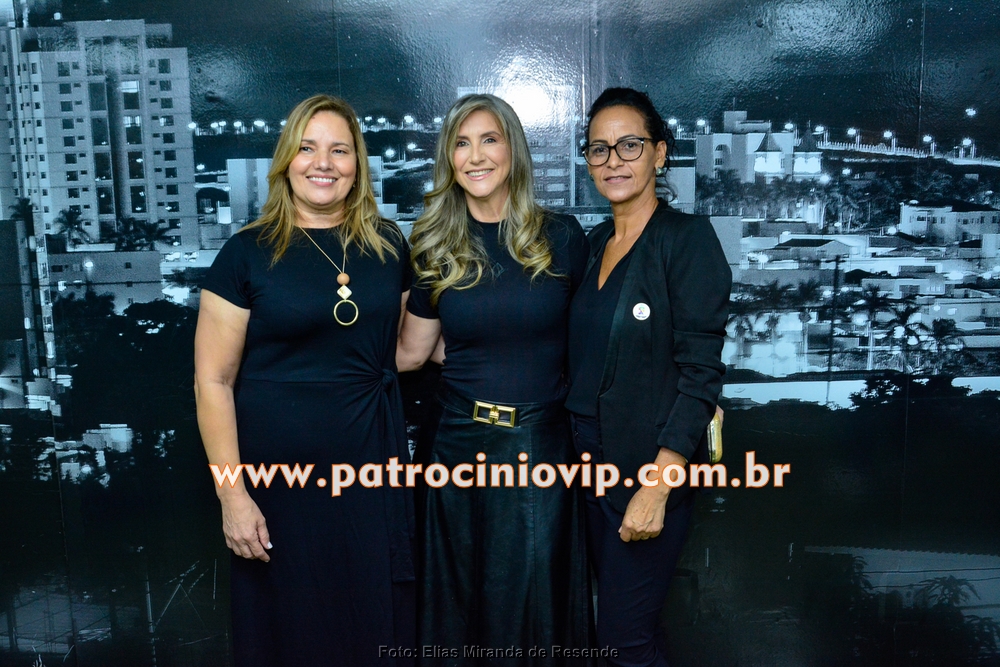 Câmara Municipal realizou a homenagem "Merito Legislativo" 94 VIP6025