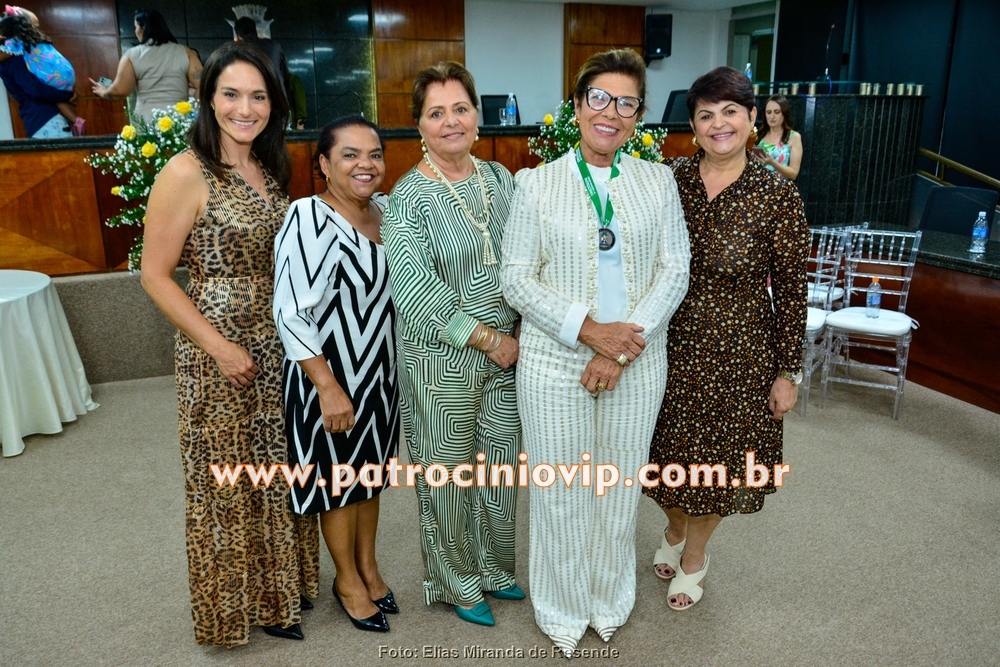 Câmara Municipal realizou a homenagem "Merito Legislativo" 407 VIP6620