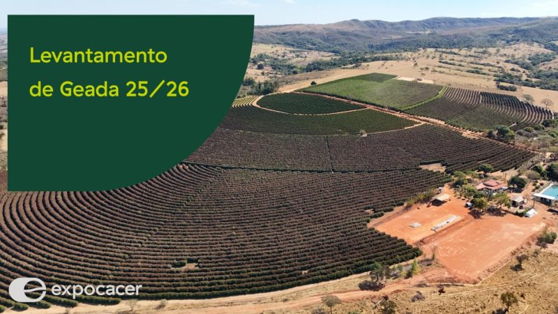 Levantamento preliminar da Expocacer aponta comprometimento de pelo menos 412 mil sacas de café no Cerrado Mineiro