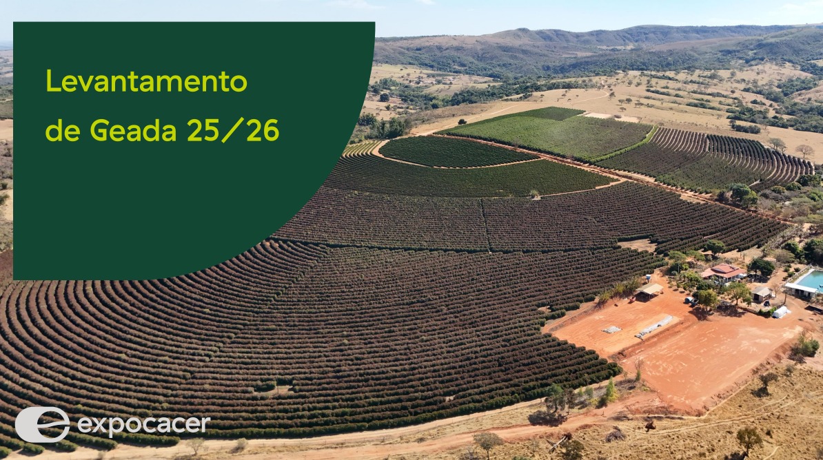 Levantamento preliminar da Expocacer aponta comprometimento de pelo menos 412 mil sacas de café no Cerrado Mineiro