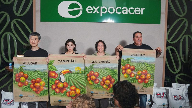 Protagonismo feminino marca o 1º Concurso Internacional de Torra Brasil x Japão 2025