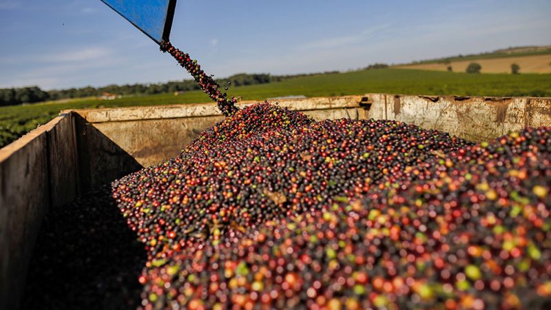 Recorde histórico: 13ª edição do Prêmio Região do Cerrado Mineiro tem 714 inscrições