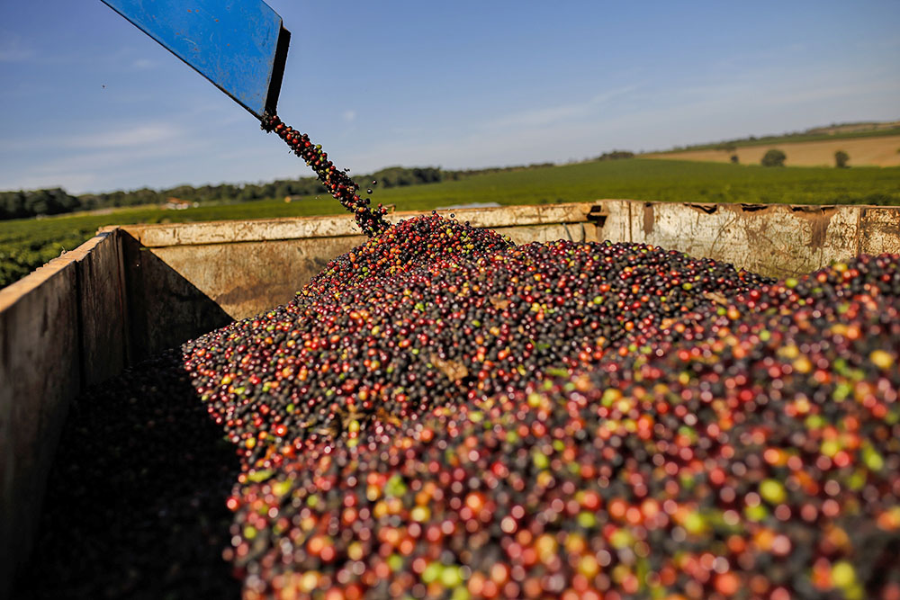 Recorde histórico: 13ª edição do Prêmio Região do Cerrado Mineiro tem 714 inscrições
