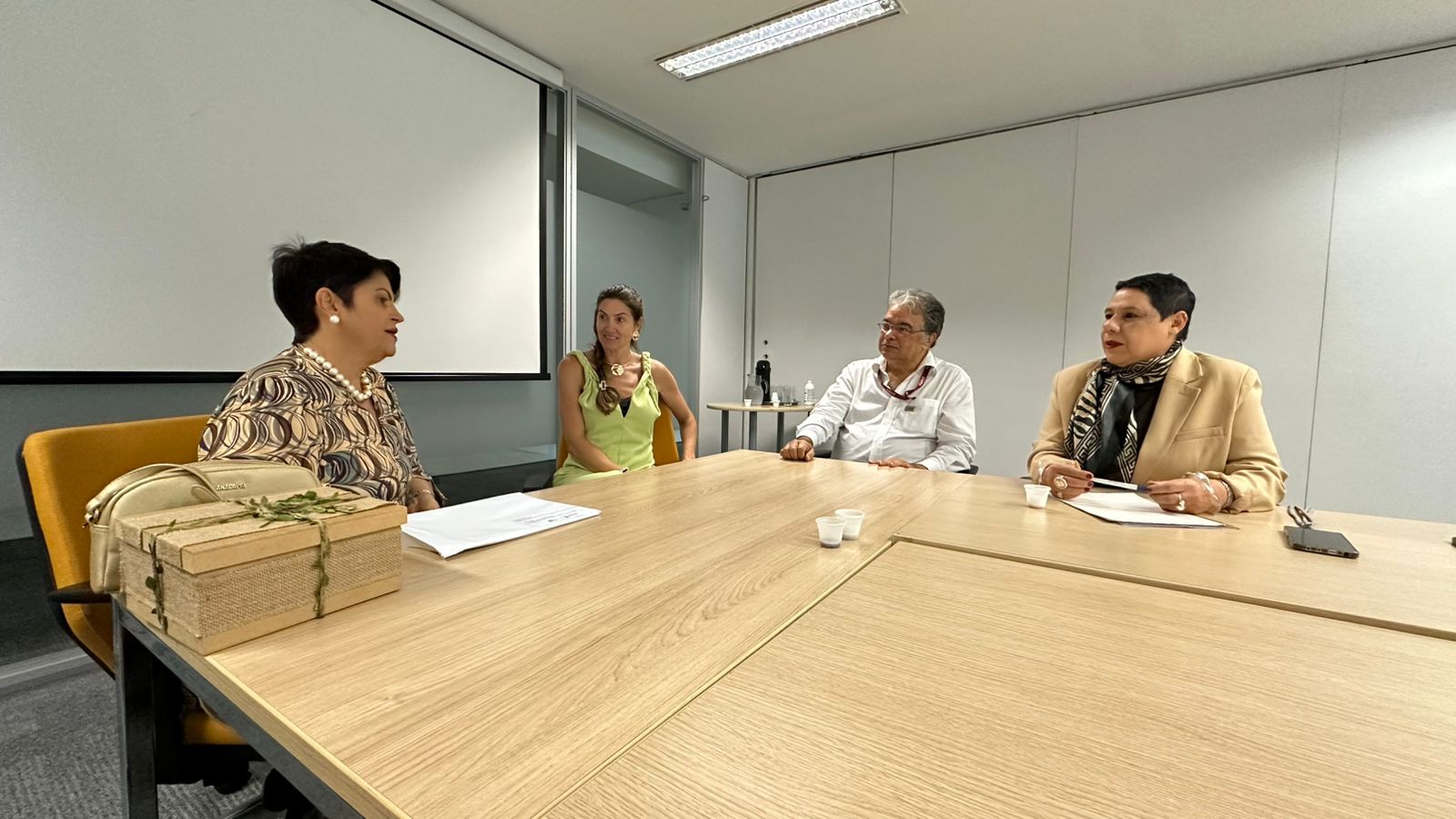 PARCERIA ENTRE MUNICÍPIO E ESTADO FORTALECE CULTURA E TURISMO EM PATROCÍNIO 4 IMG 20260121 WA0084