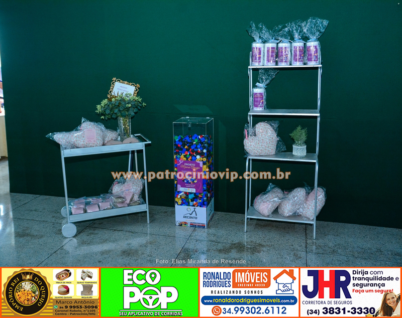 Fórum Rotário da Área VII reúne lideranças e destaca projetos sociais do Distrito 4770 45 VIP2075 copia