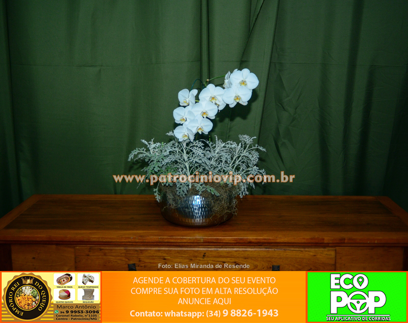 5º Happy Hour da Amizade 14 IMG 6305 copiar