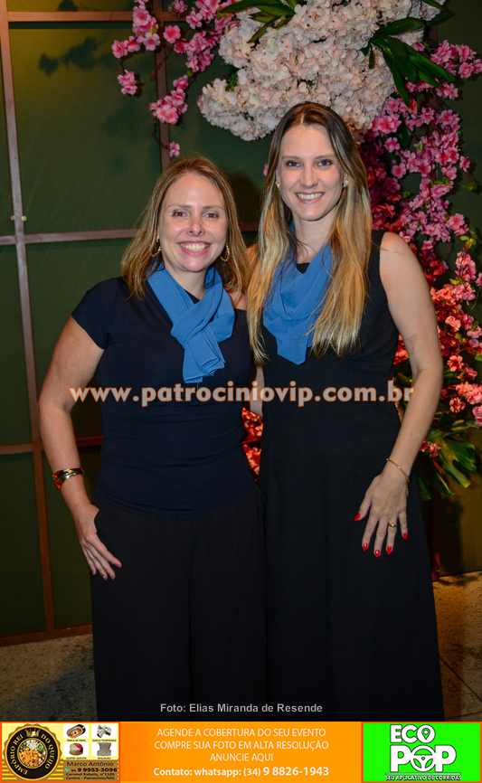 Rotary Brumado dos Pavões realizou a Noite dos Profissionais 351 IMG 8678 copiar